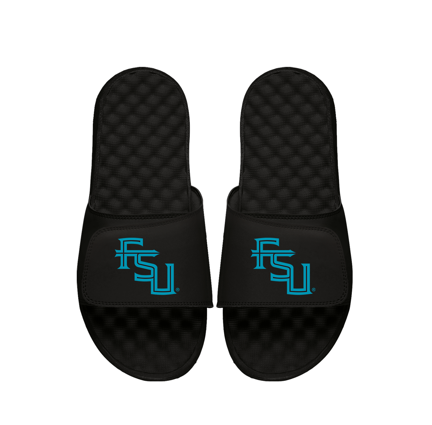 FSU Secondary Turquoise Logo