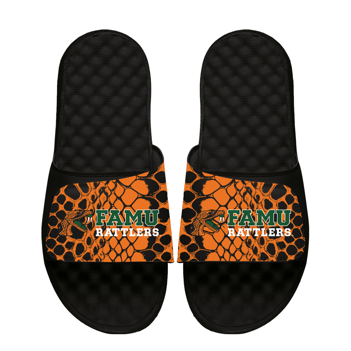 Florida A&amp;M Rattlers Year of the Snake