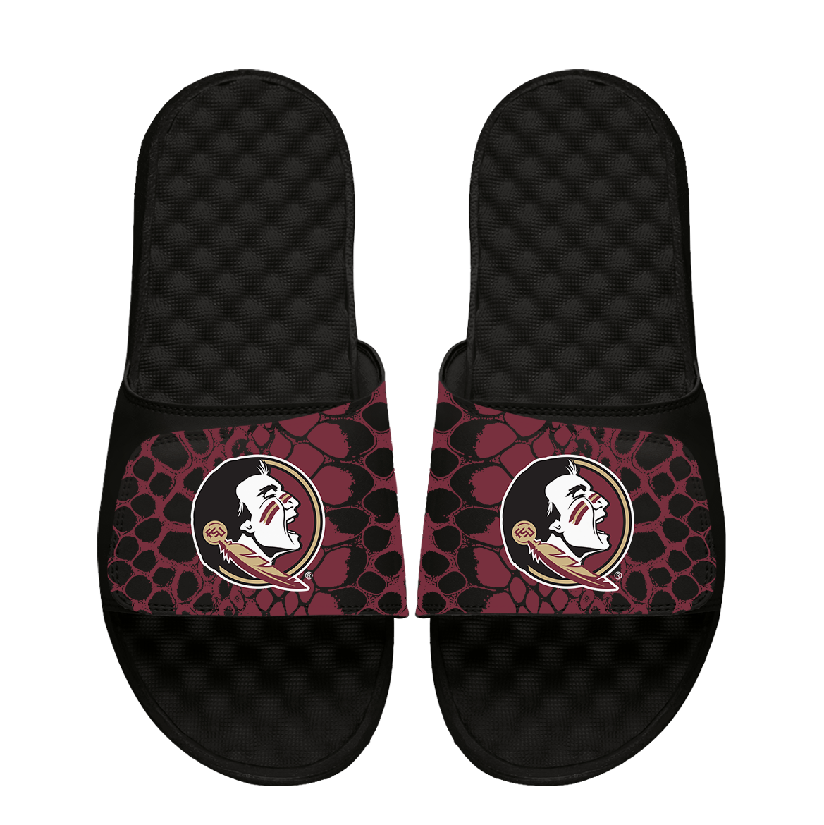 Florida State Seminoles Year of the Snake