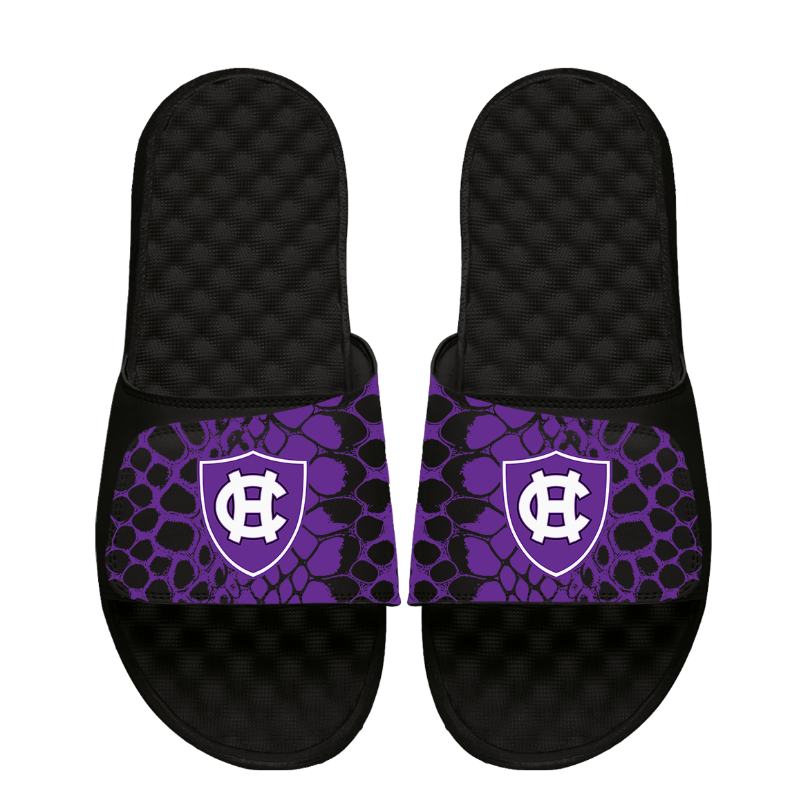 Holy Cross Crusaders Year of the Snake