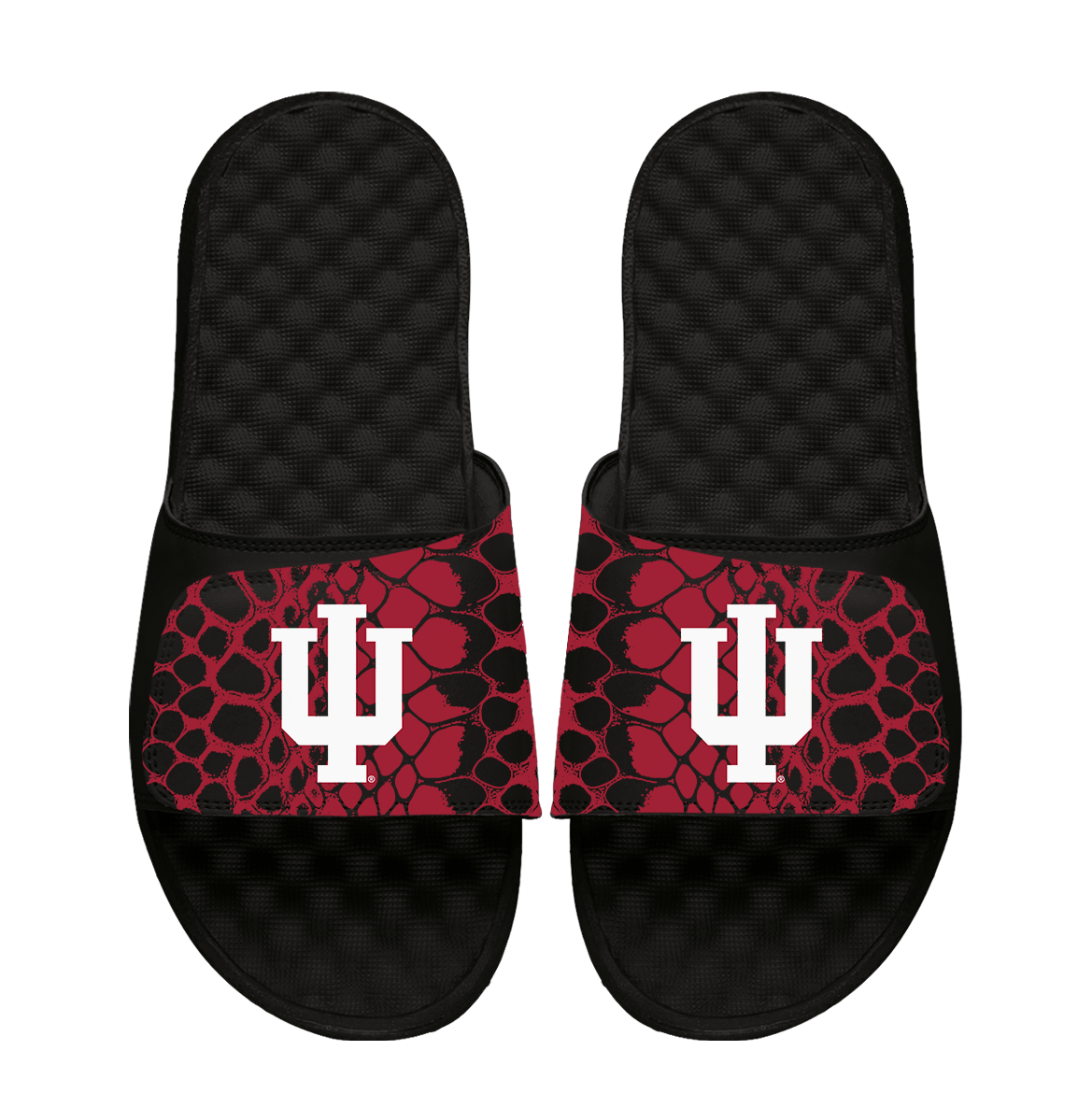 Indiana Hoosiers Year of the Snake