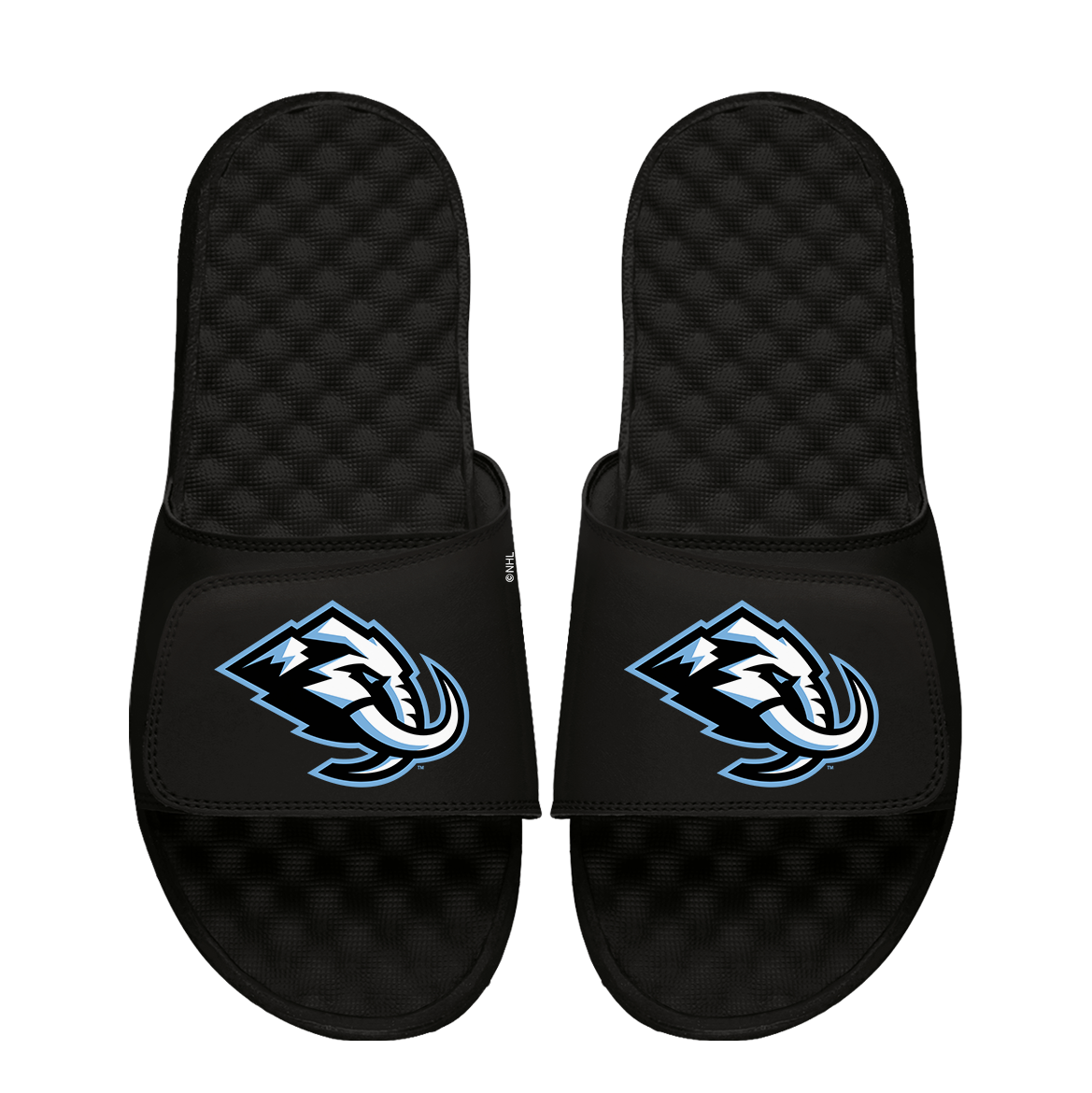 Utah Mammoth Primary Logo