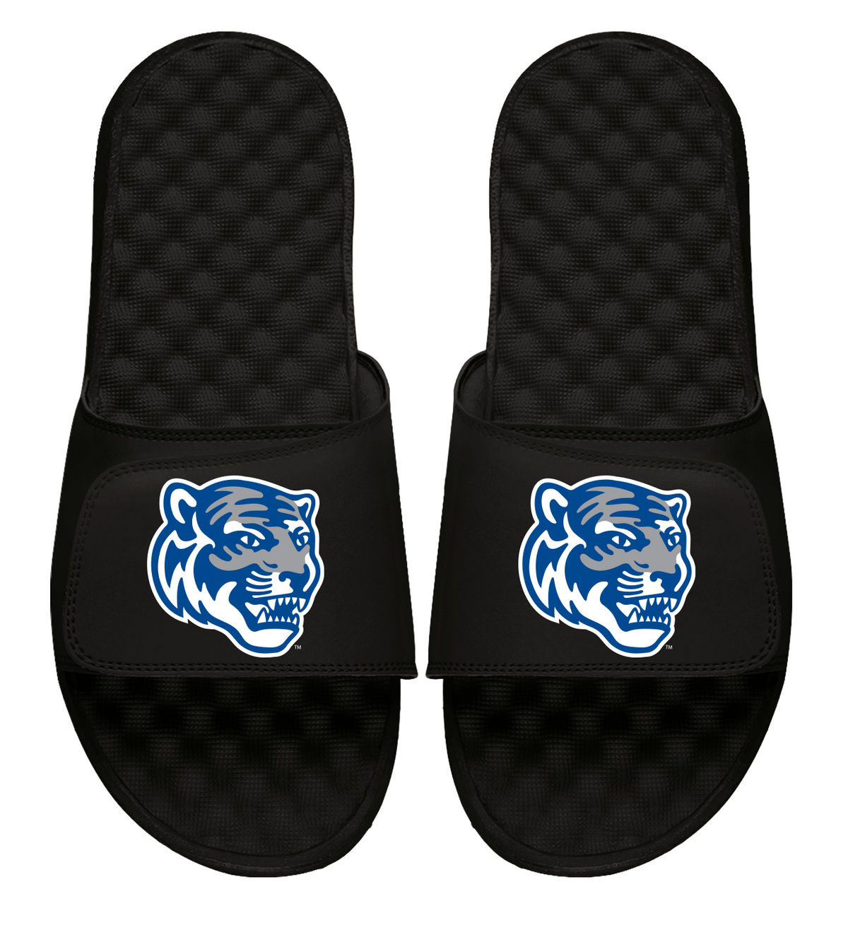 Memphis Tigers Mascot