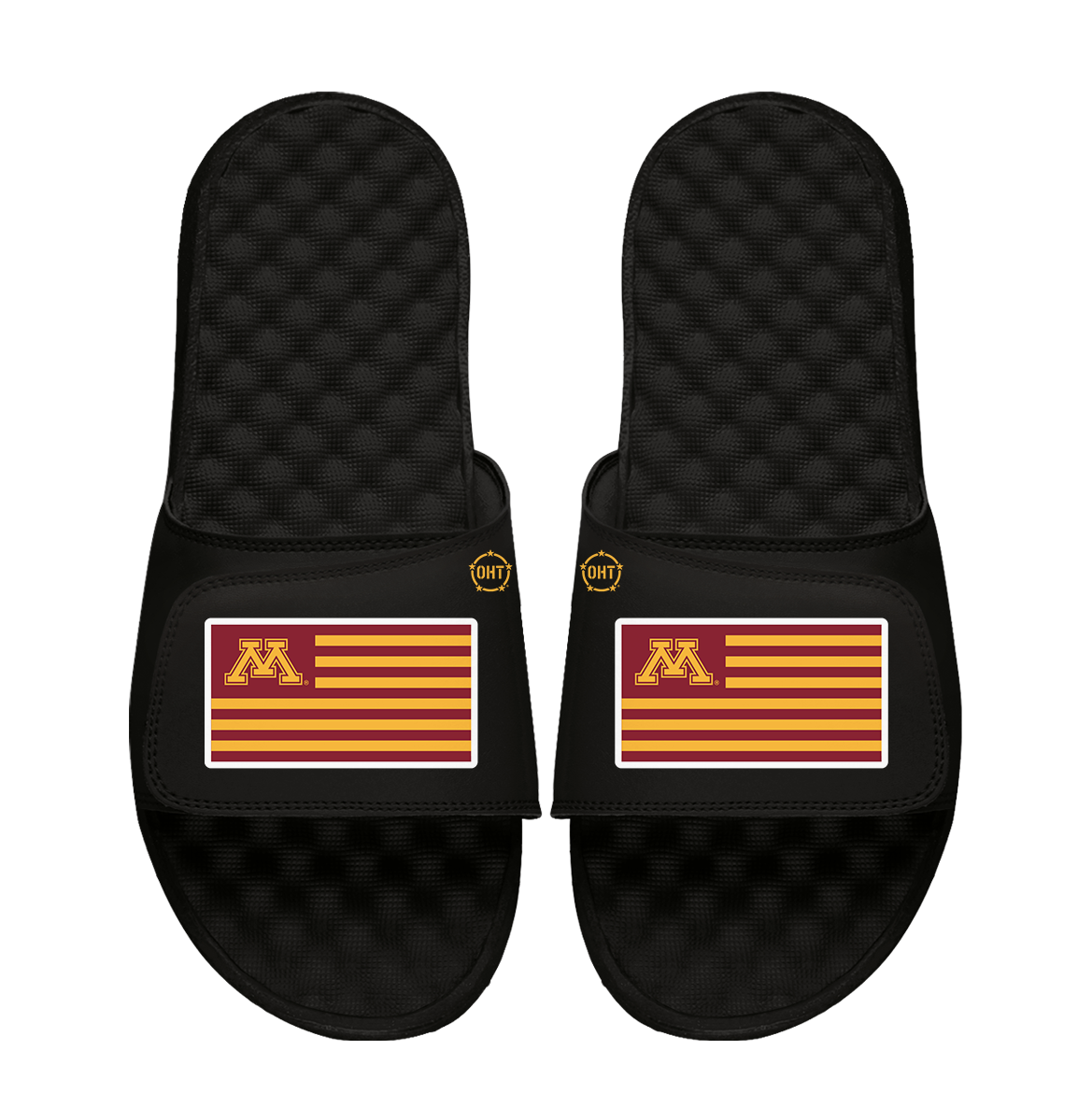 Minnesota Golden Gophers Team Flag ISlide x OHT