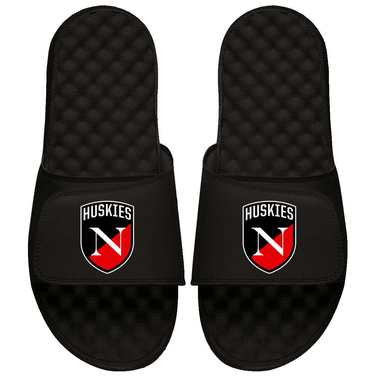 Northeastern Huskies Primary