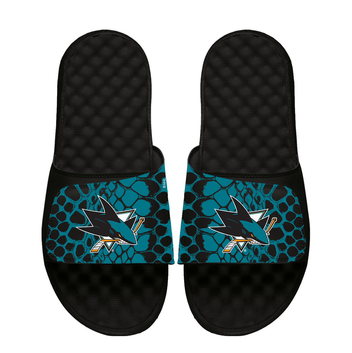 Sharks Year of the Snake