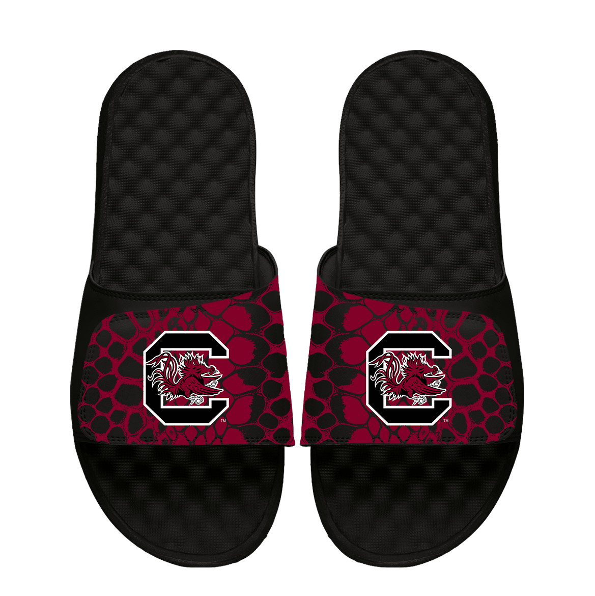 South Carolina Gamecocks Year of the Snake