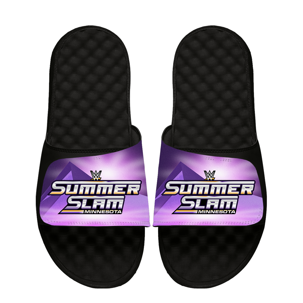 WWE 2026 SummerSlam Full Bleed