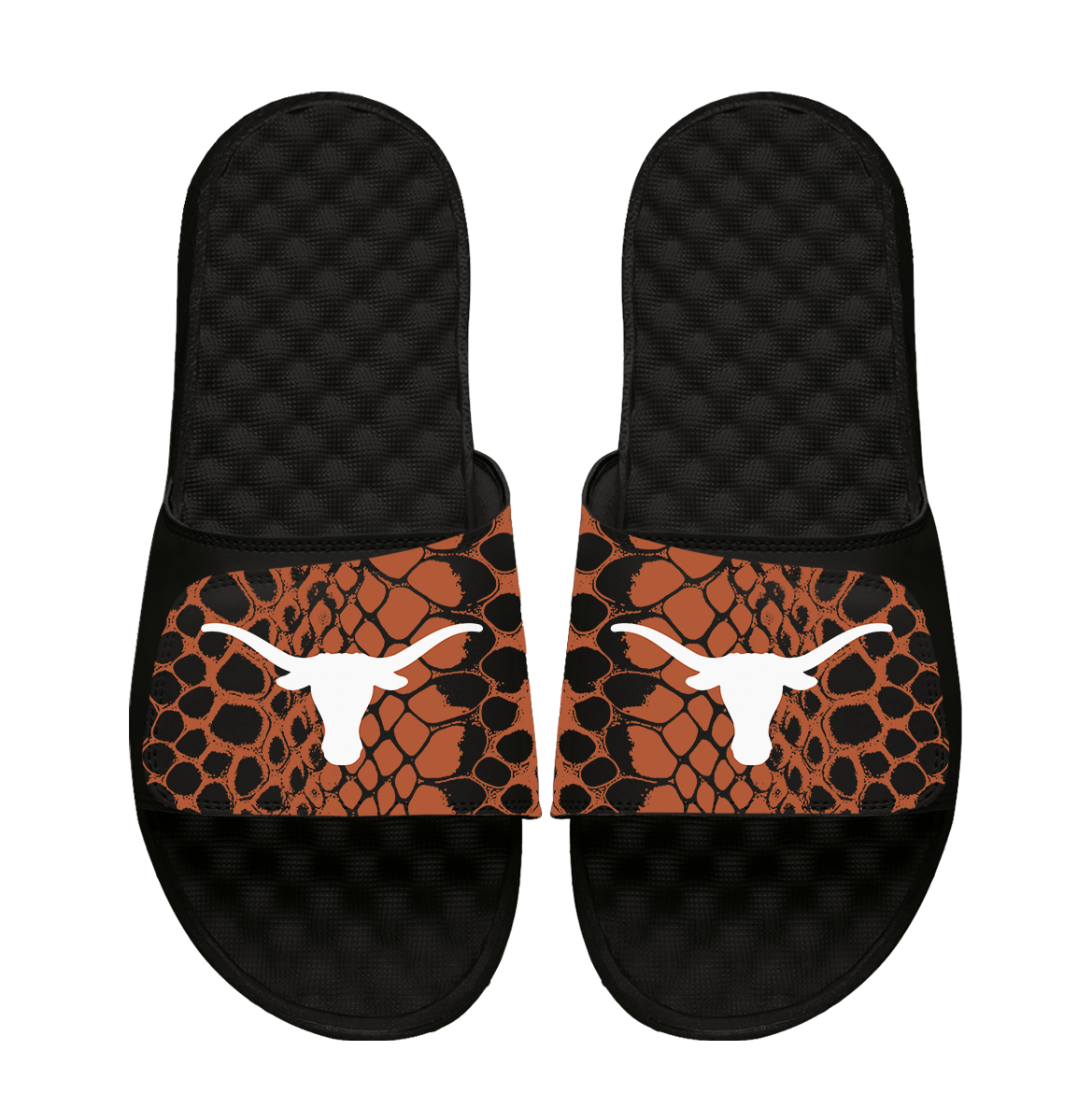 Texas Longhorns Year of the Snake