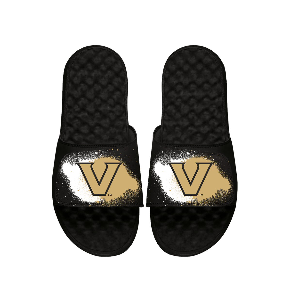 Vanderbilt Spray Paint Slides