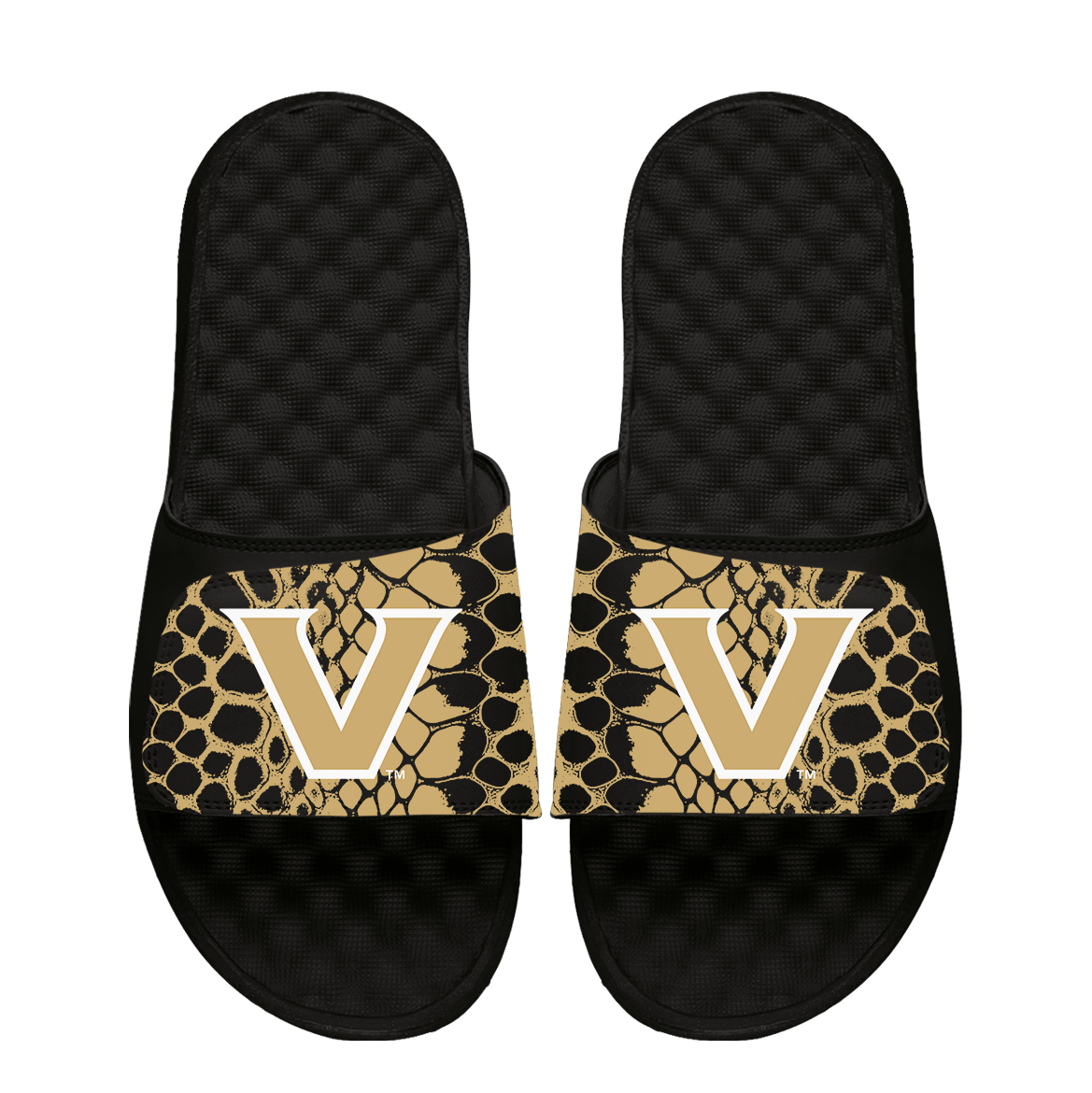Vanderbilt Commodores Year of the Snake