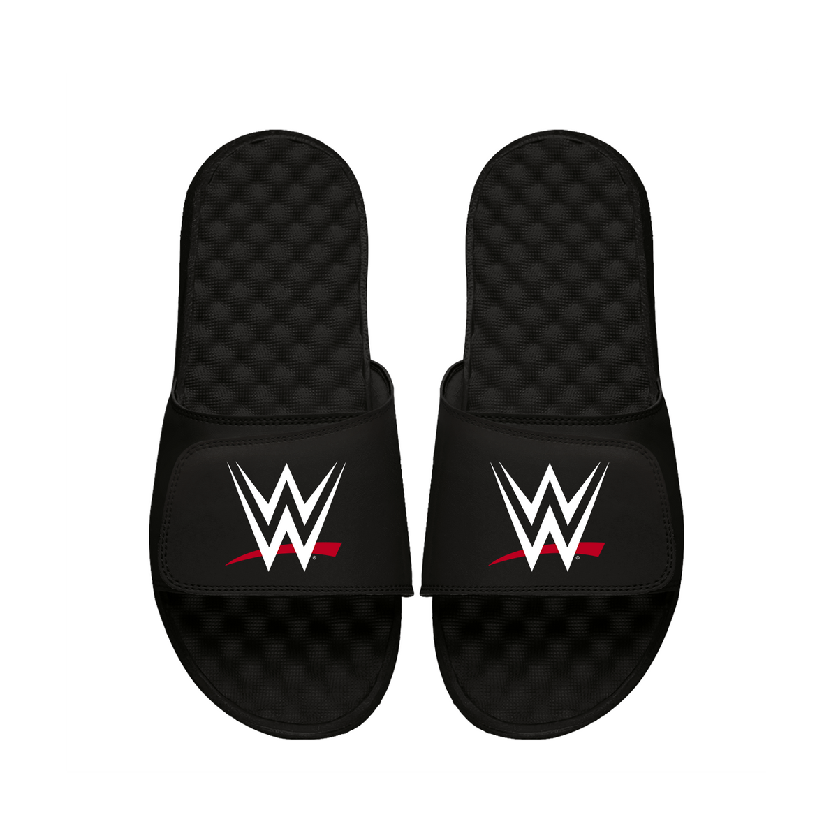 WWE Primary Logo Slides