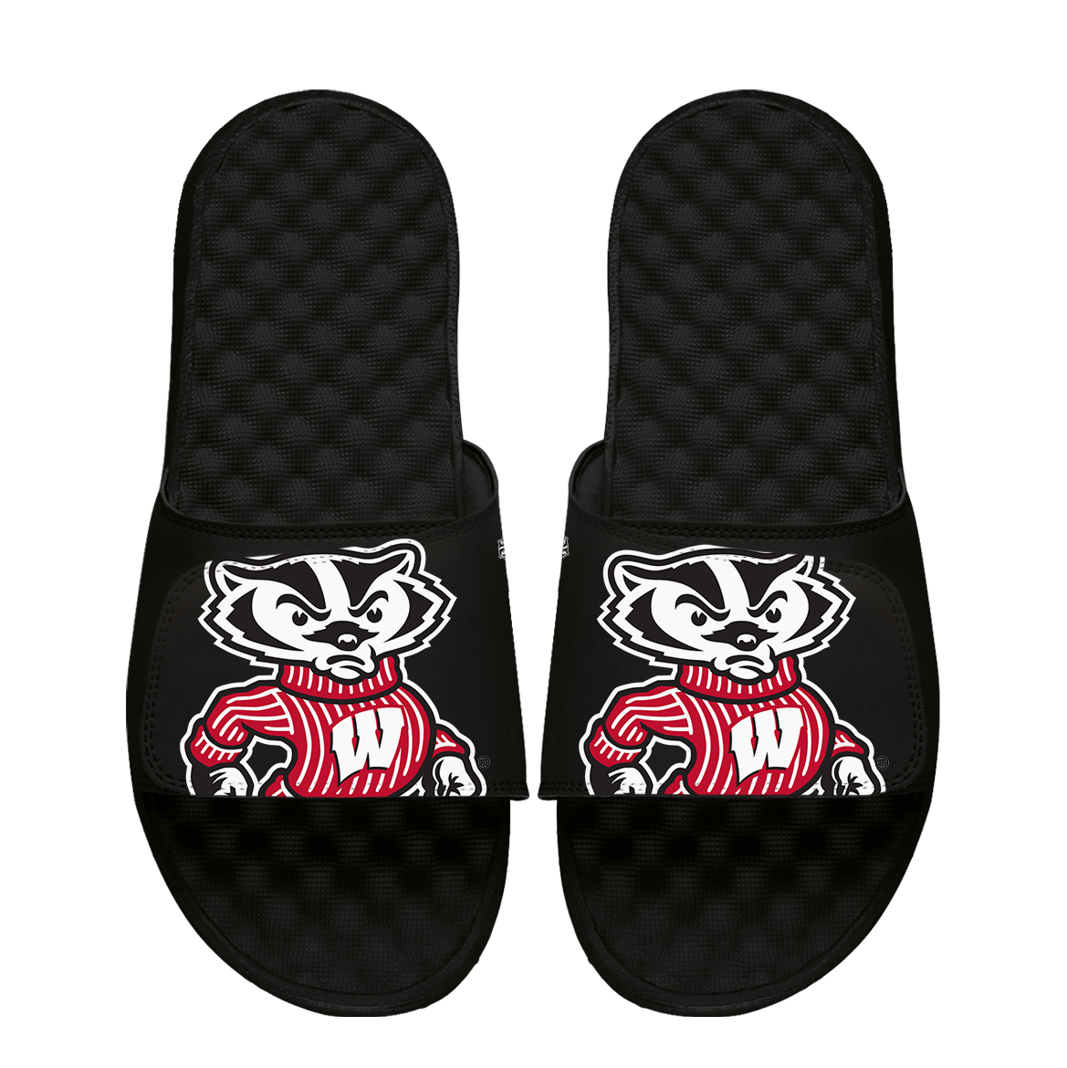 Wisconsin Badgers Mascot