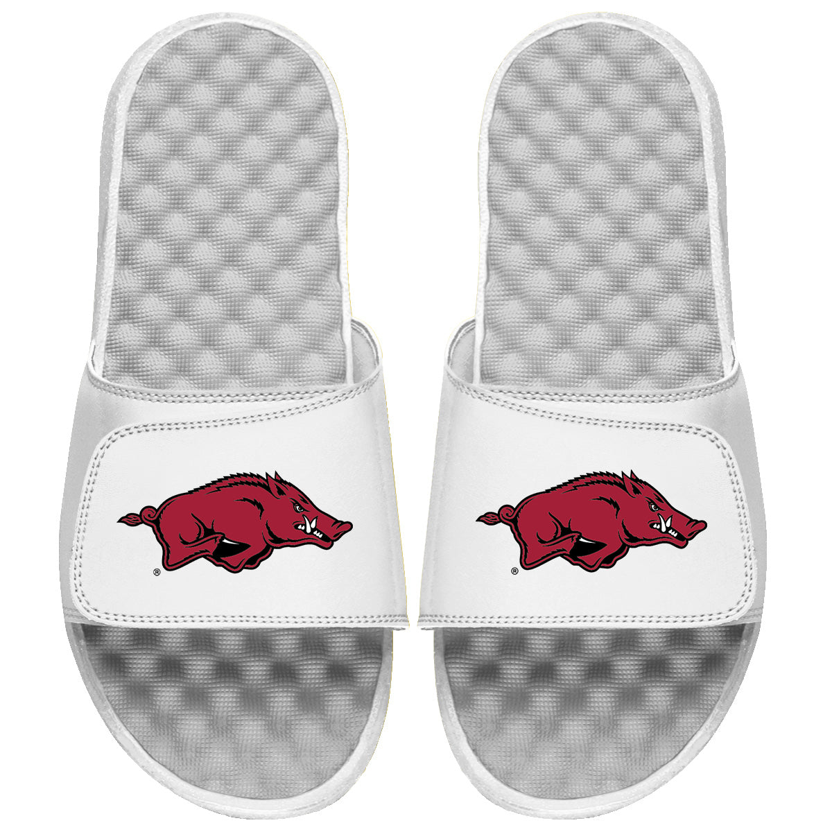 Arkansas Razorbacks Primary Logo