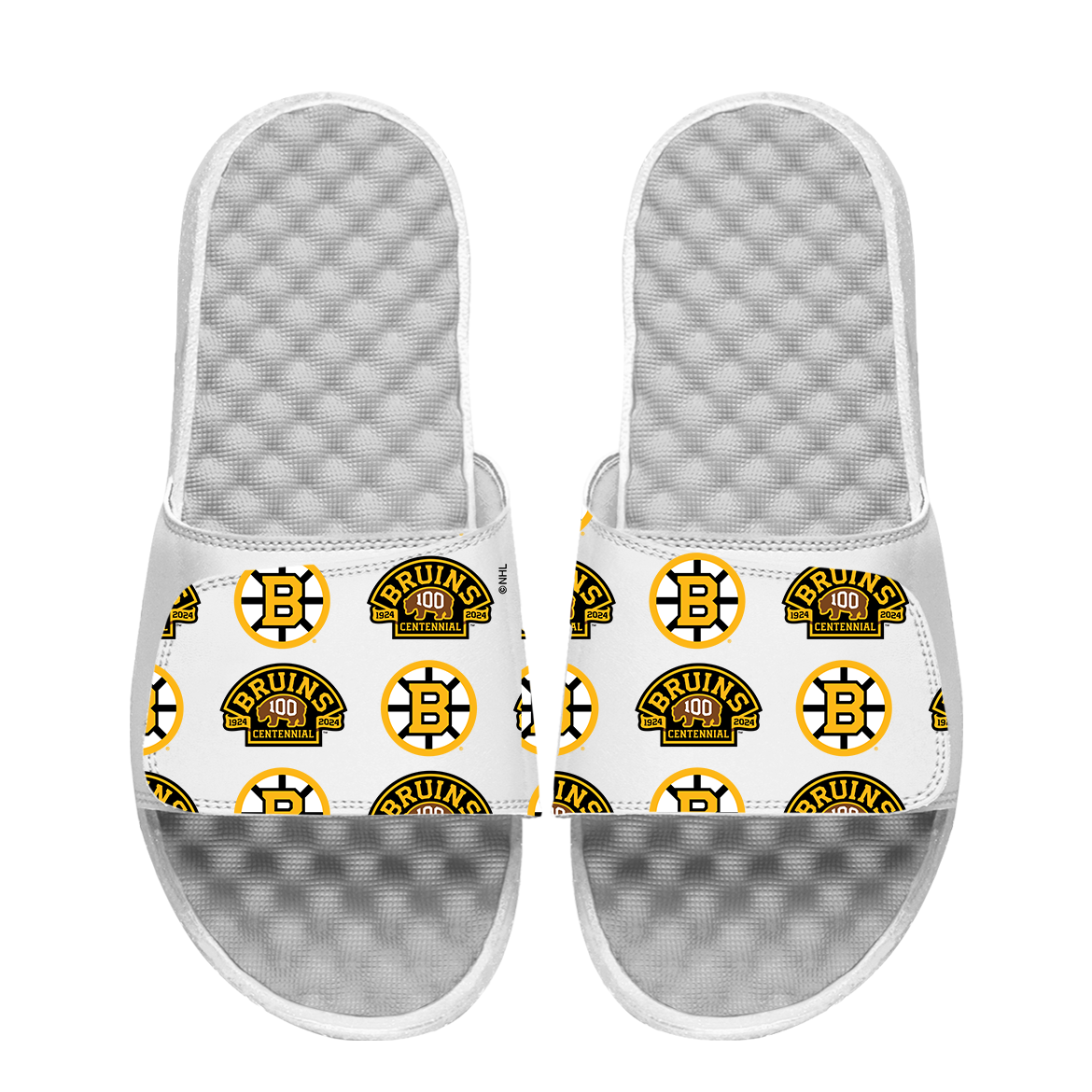 Boston Bruins Centennial Pattern