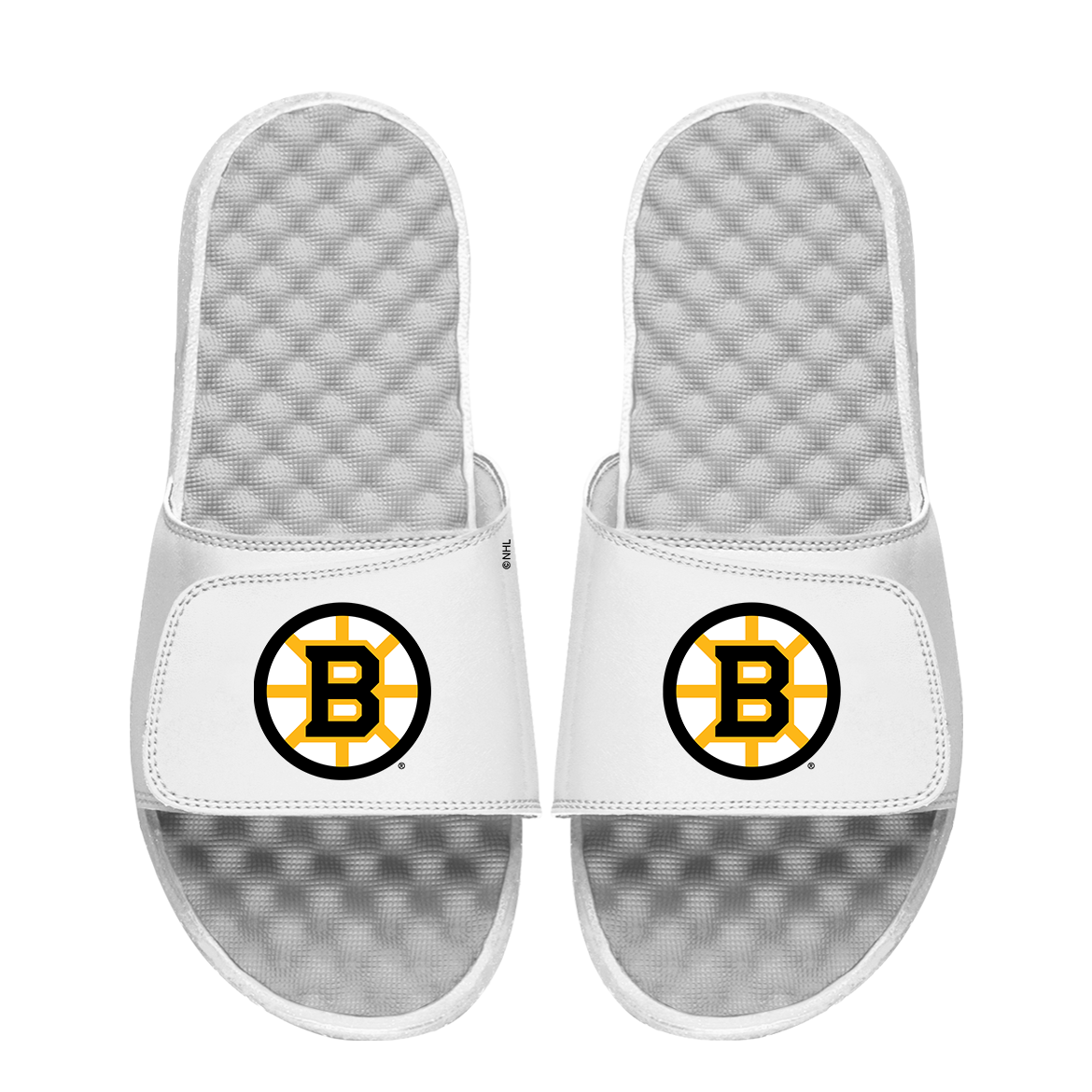 Boston Bruins Primary Logo