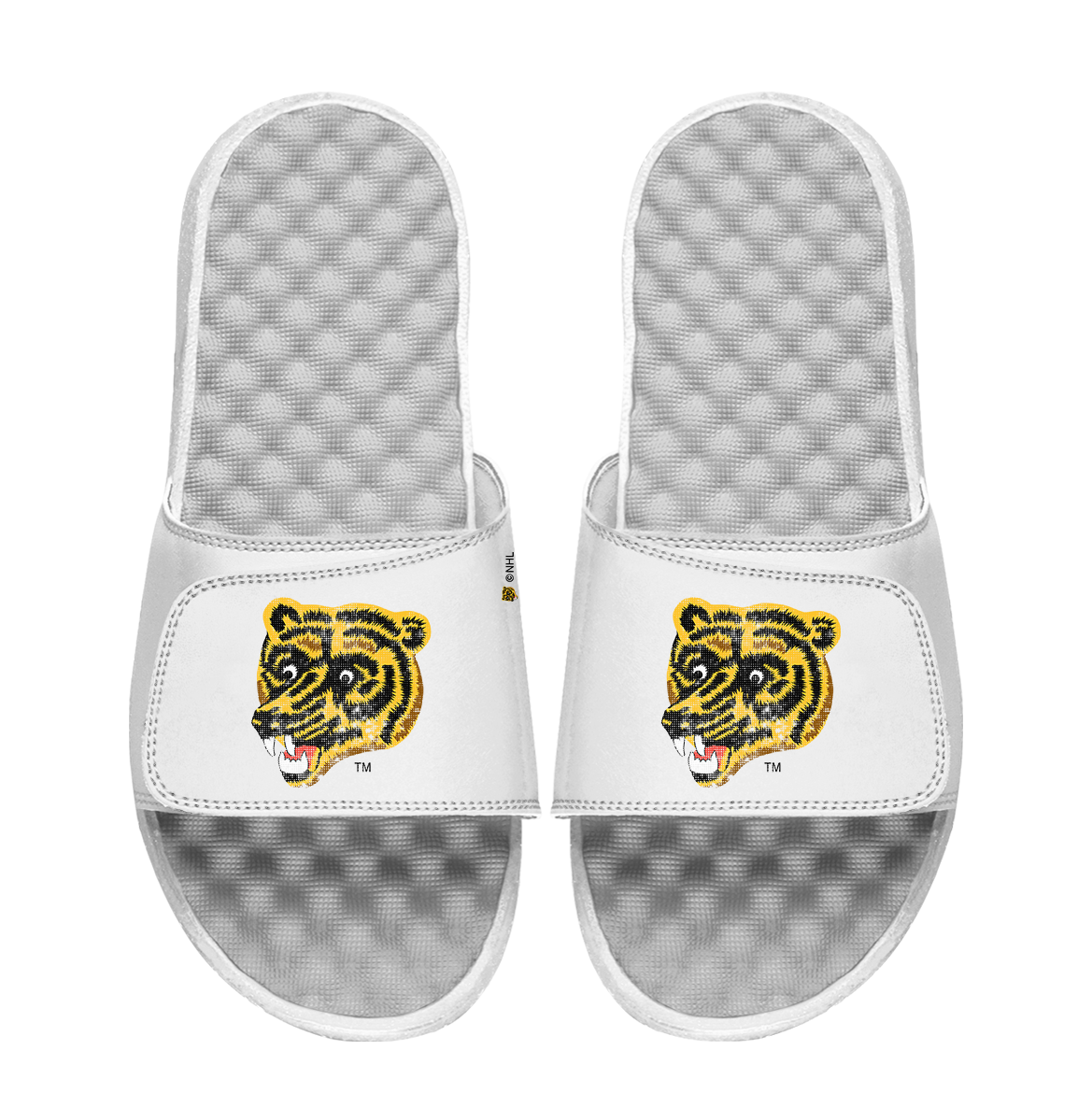 Boston Bruins Vintage Bear Distressed Logo