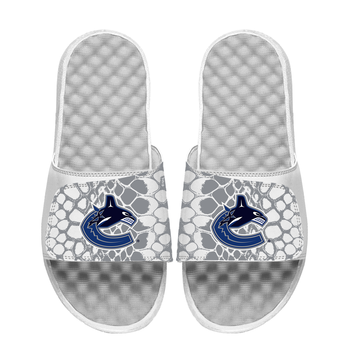 Canucks Year of the Snake