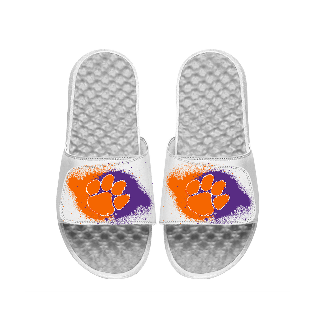 Clemson Spray Paint Slides