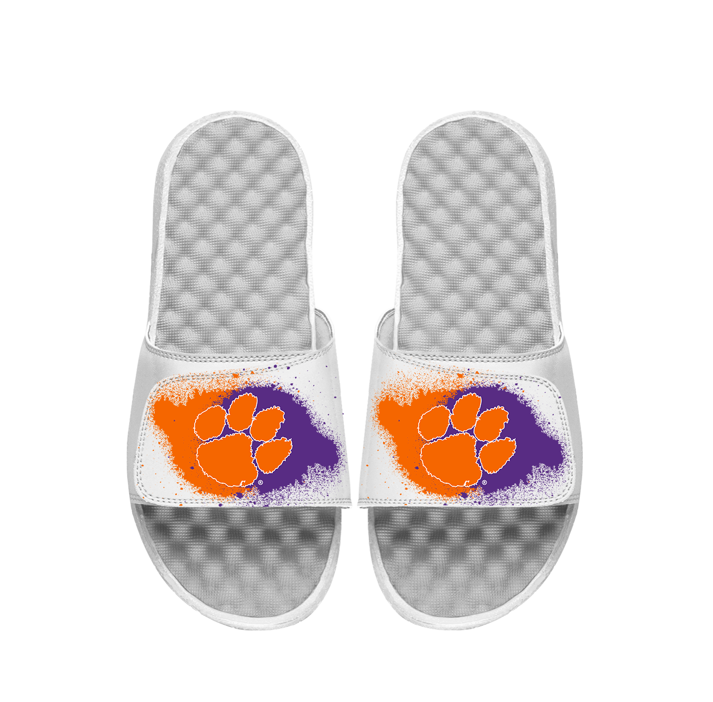 Clemson Spray Paint Slides
