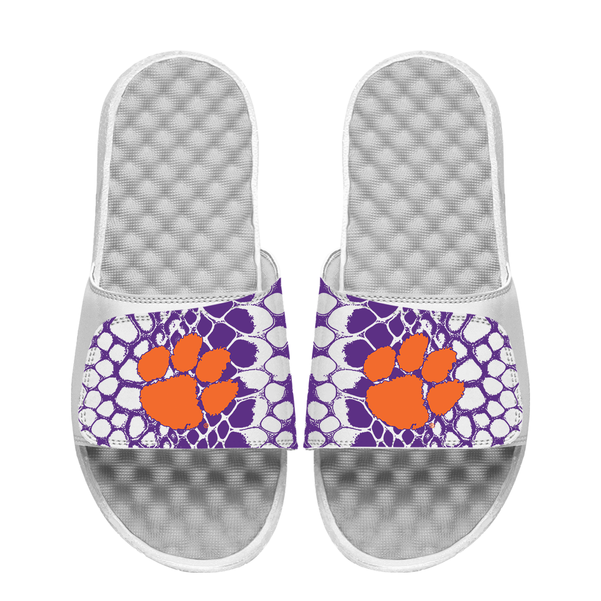 Clemson Tigers Year of the Snake