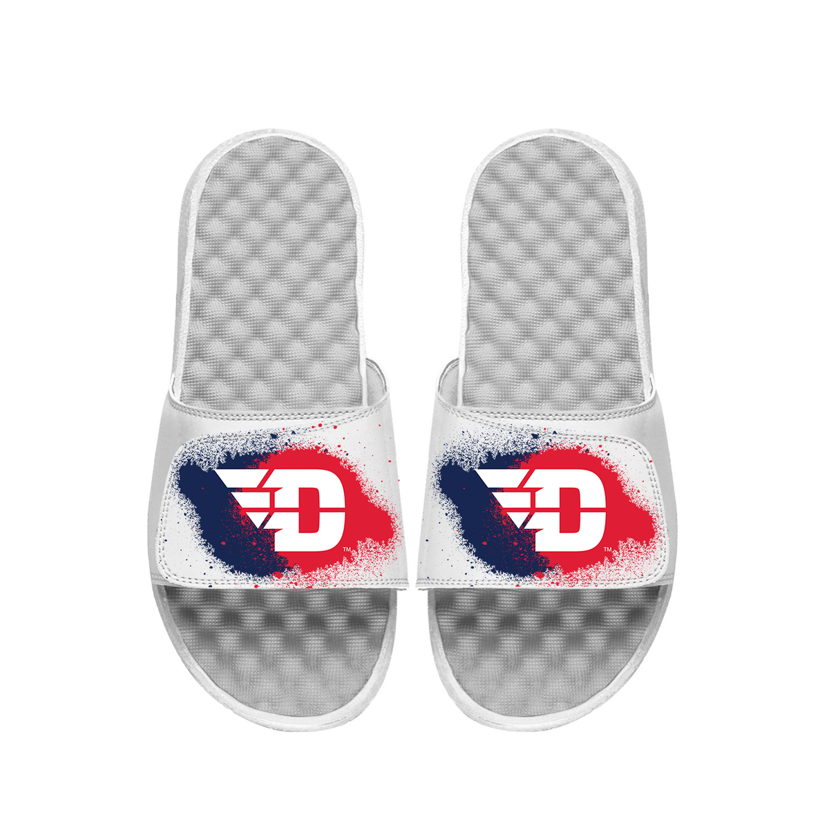 Dayton Spray Paint Slides