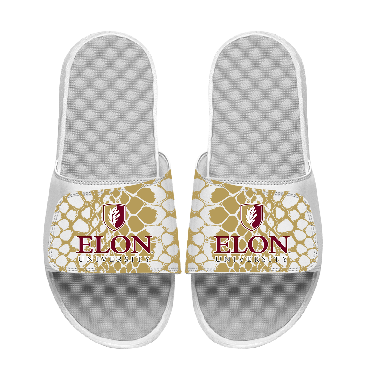 Elon Phoenix Year of the Snake