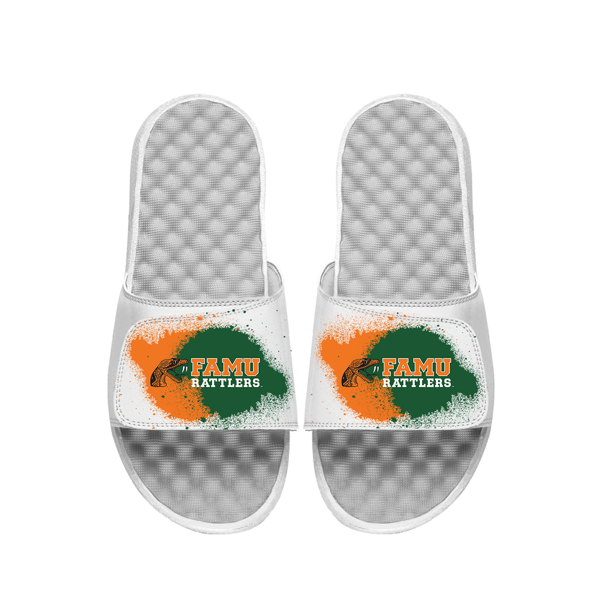 FAMU Spray Paint Slides