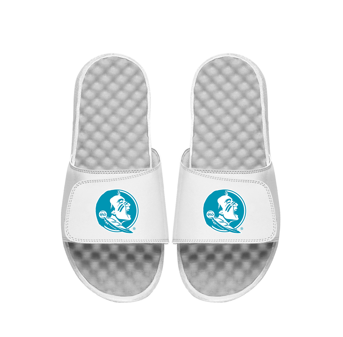 FSU Primary Turquoise Logo