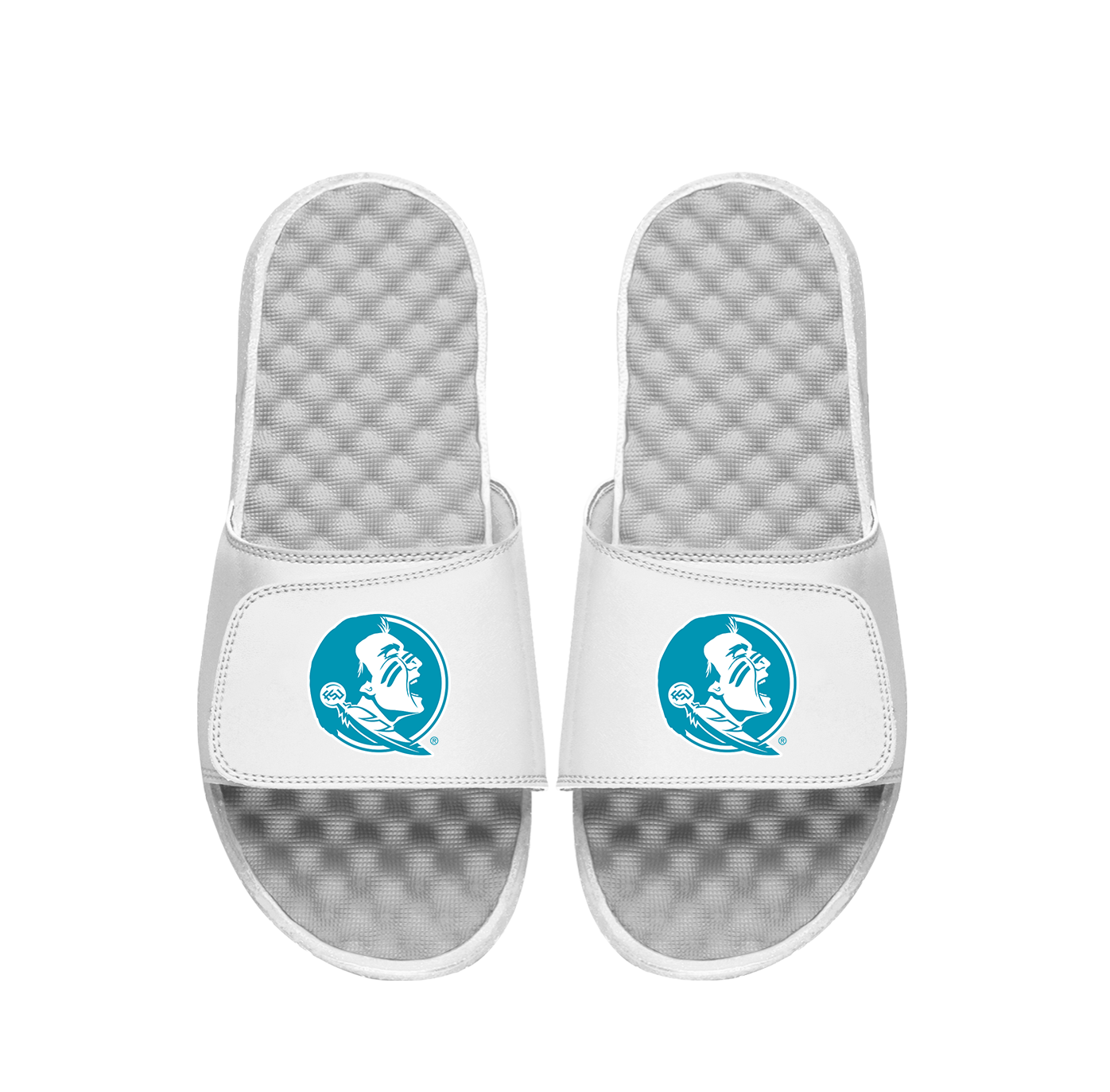 FSU Primary Turquoise Logo