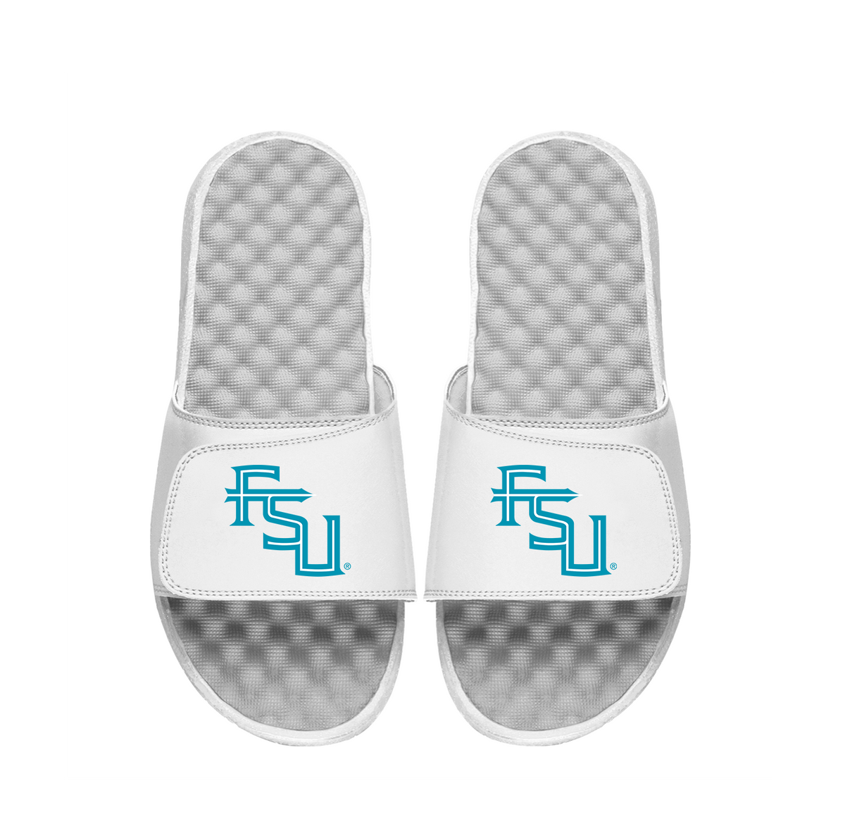 FSU Secondary Turquoise Logo