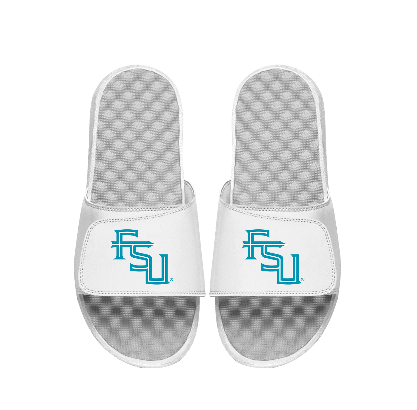 FSU Secondary Turquoise Logo