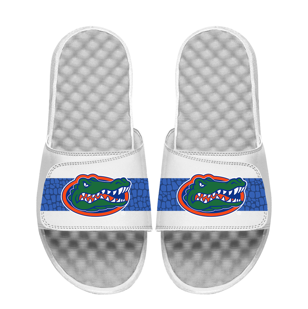 Florida Gators Stripe