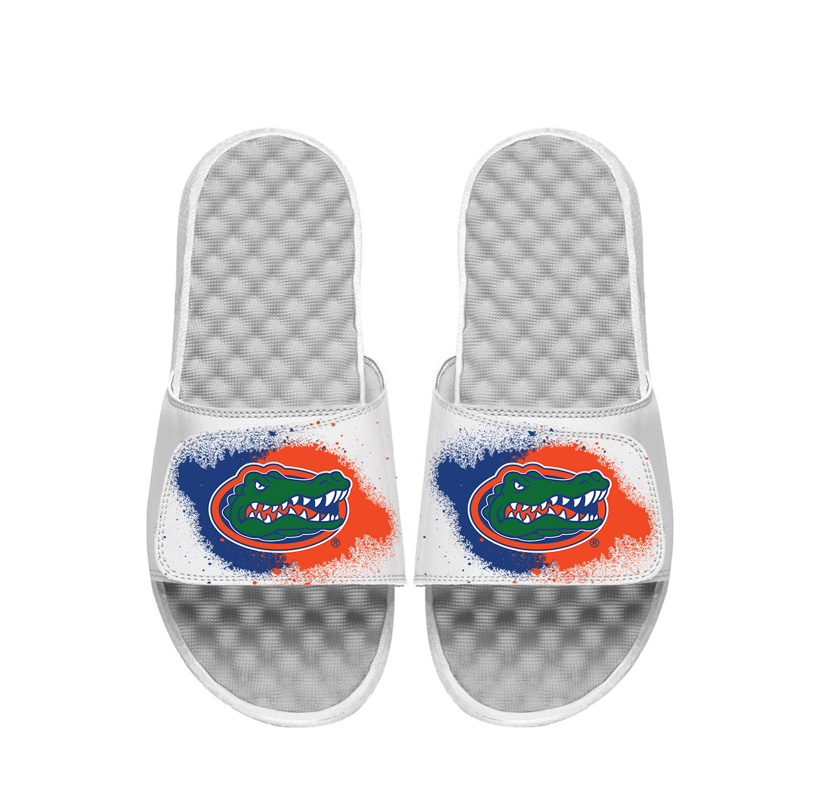 Florida Spray Paint Slides