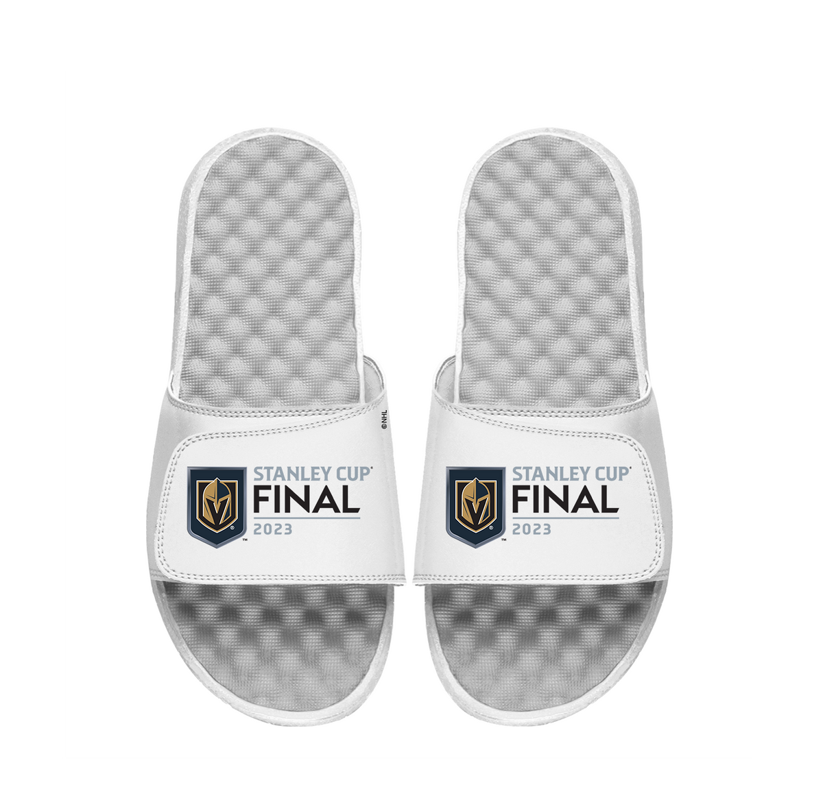 Vegas Golden Knights 23 Finals Slides
