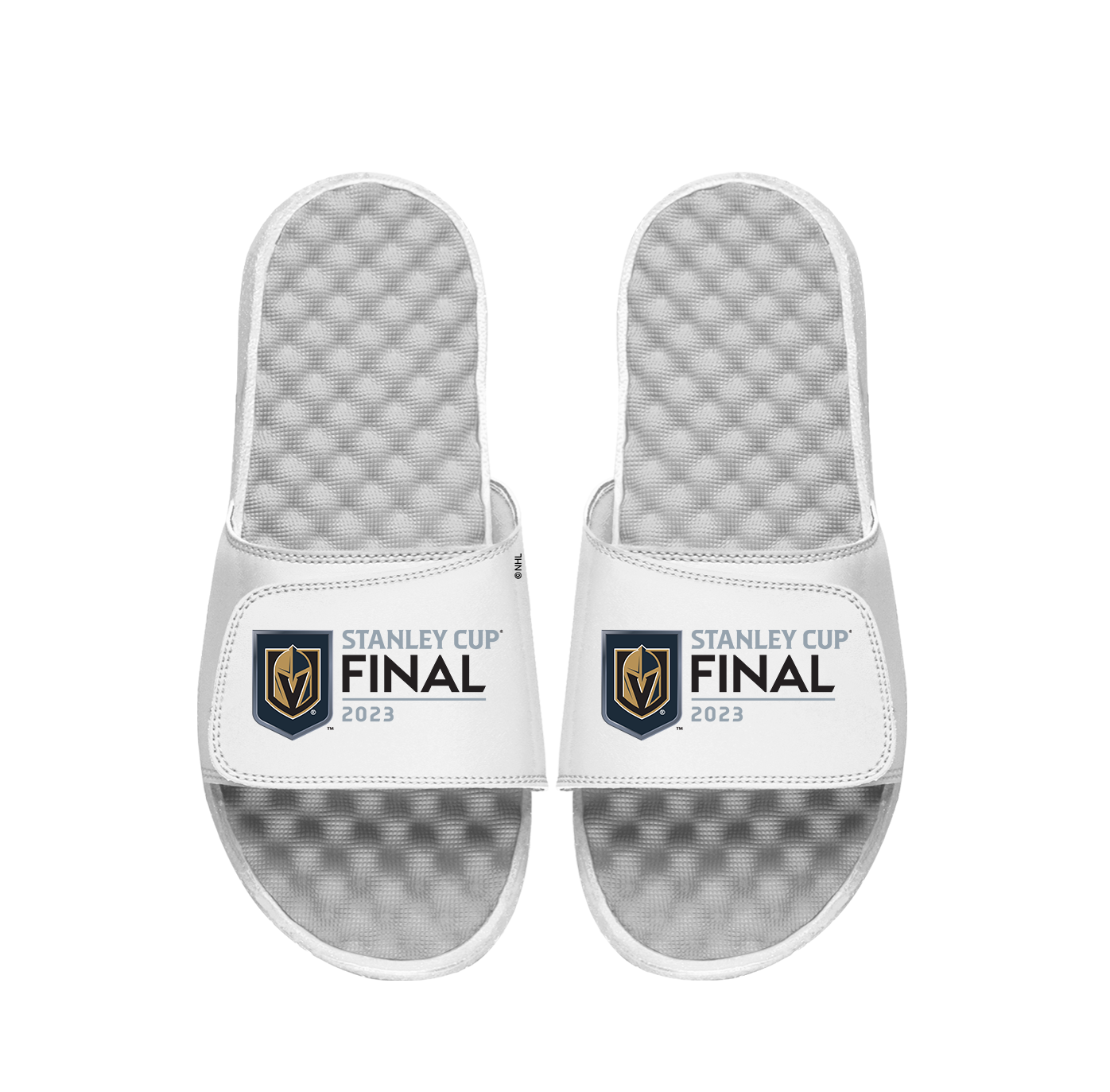 Vegas Golden Knights 23 Finals Slides