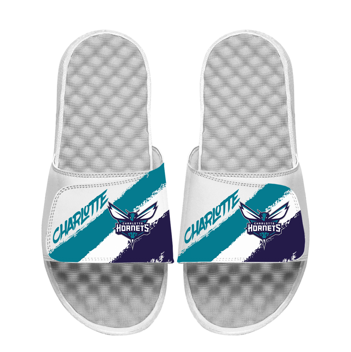 Charlotte Hornets Paint Stripes