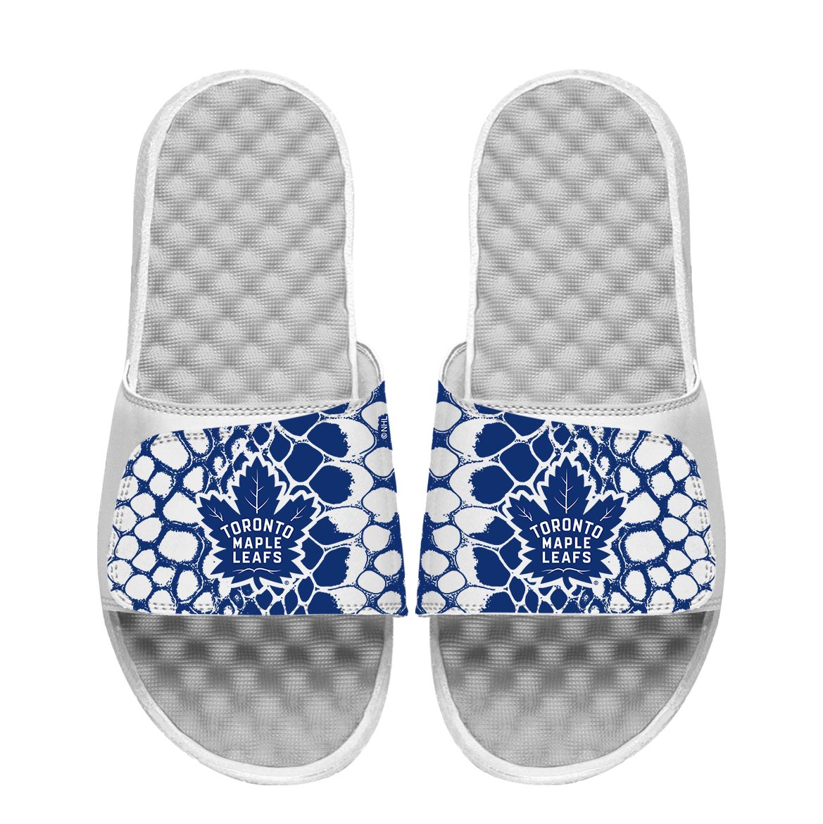 Maple Leafs Year of the Snake