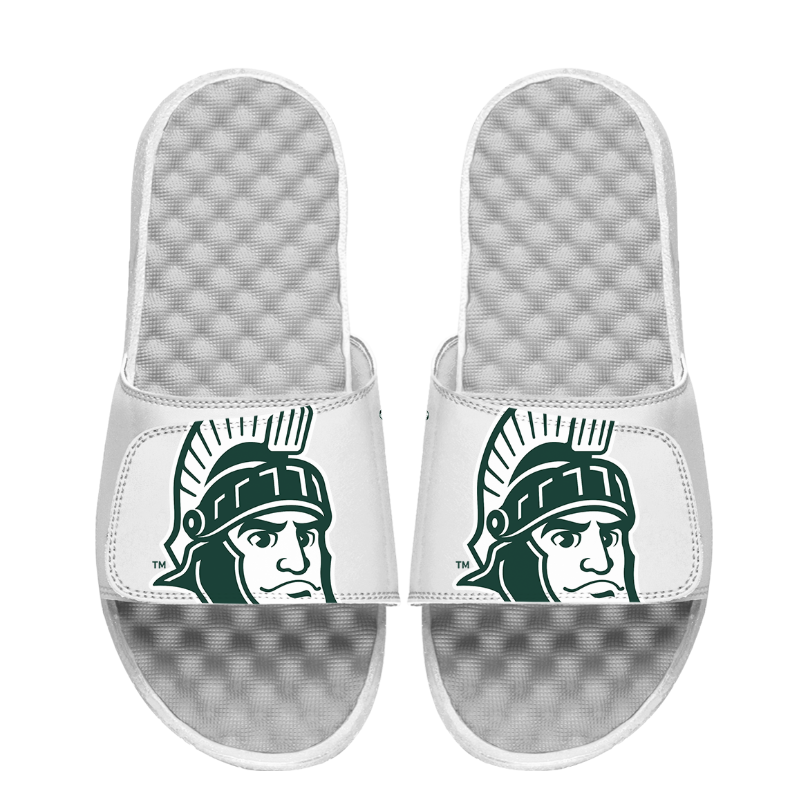 Michigan State Spartans Mascot