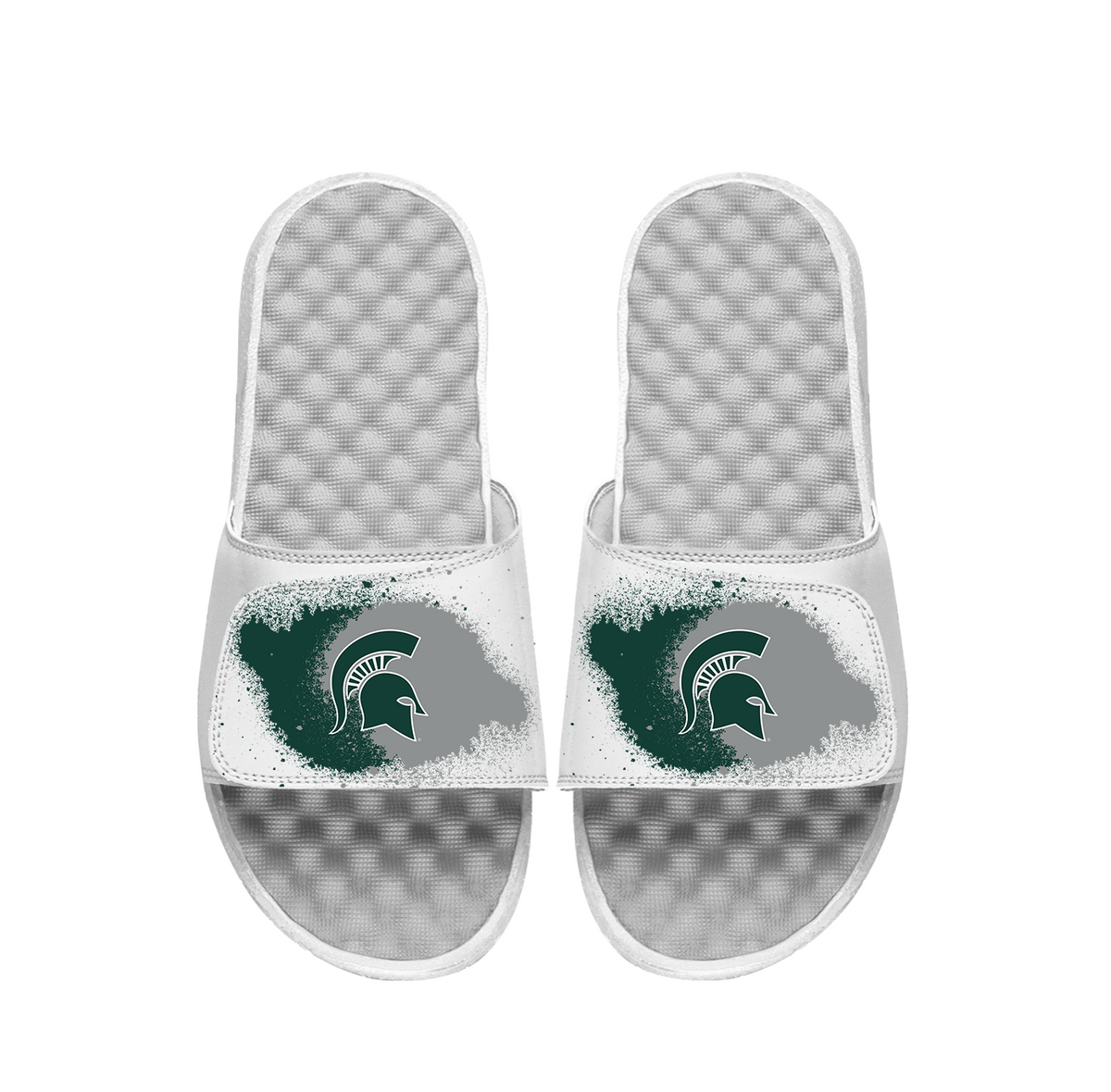 Michigan State Spray Paint Slides