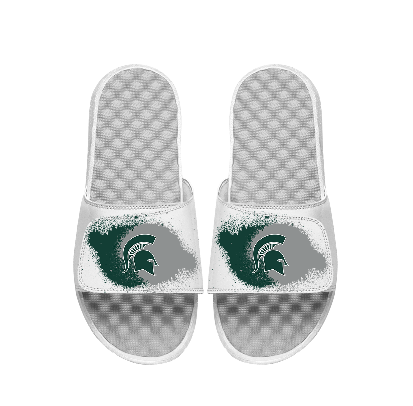 Michigan State Spray Paint Slides