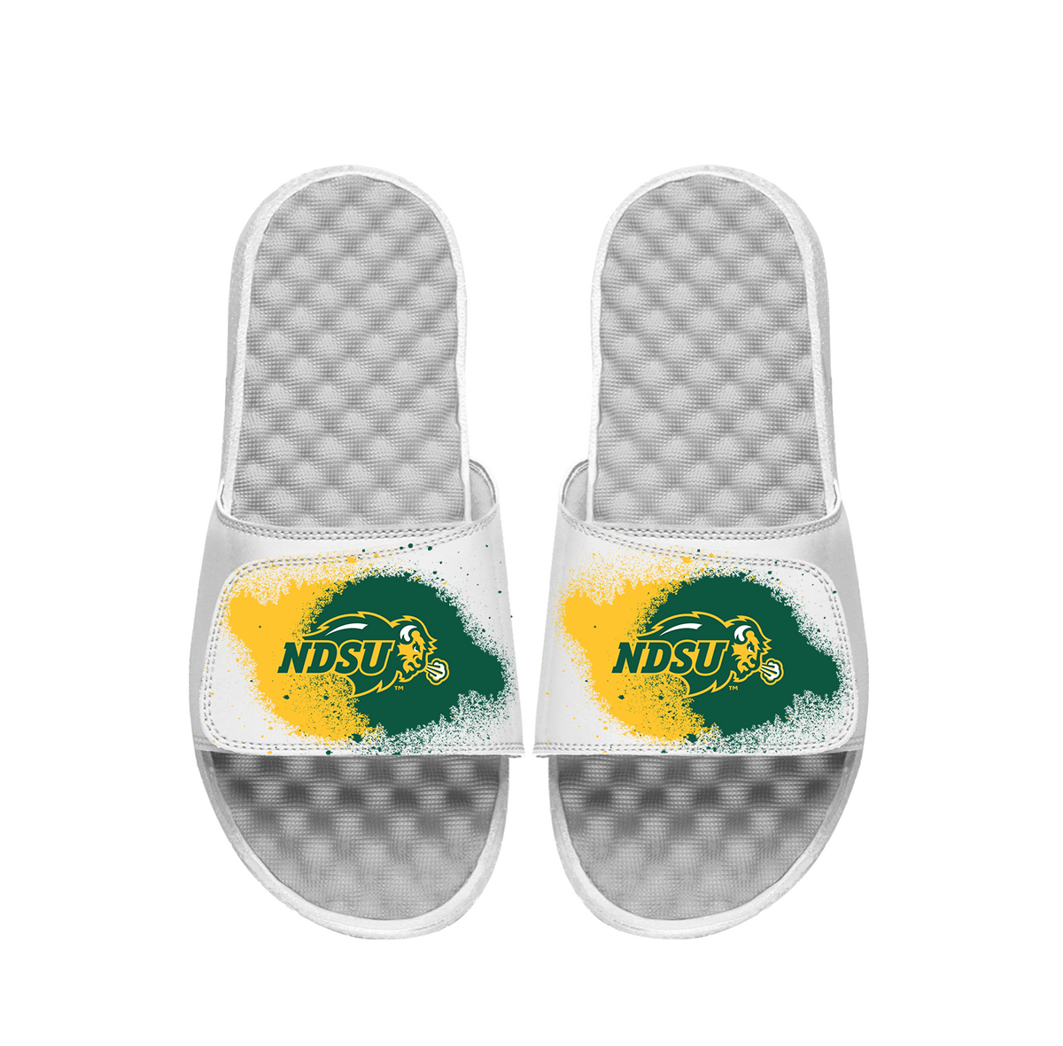 NDSU Spray Paint Slides