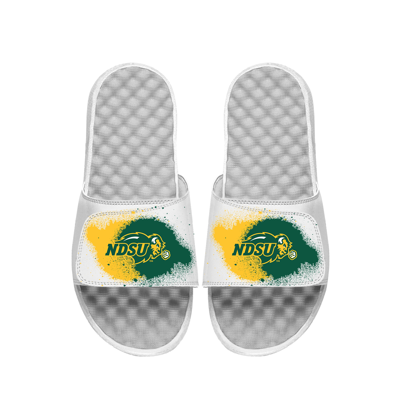 NDSU Spray Paint Slides