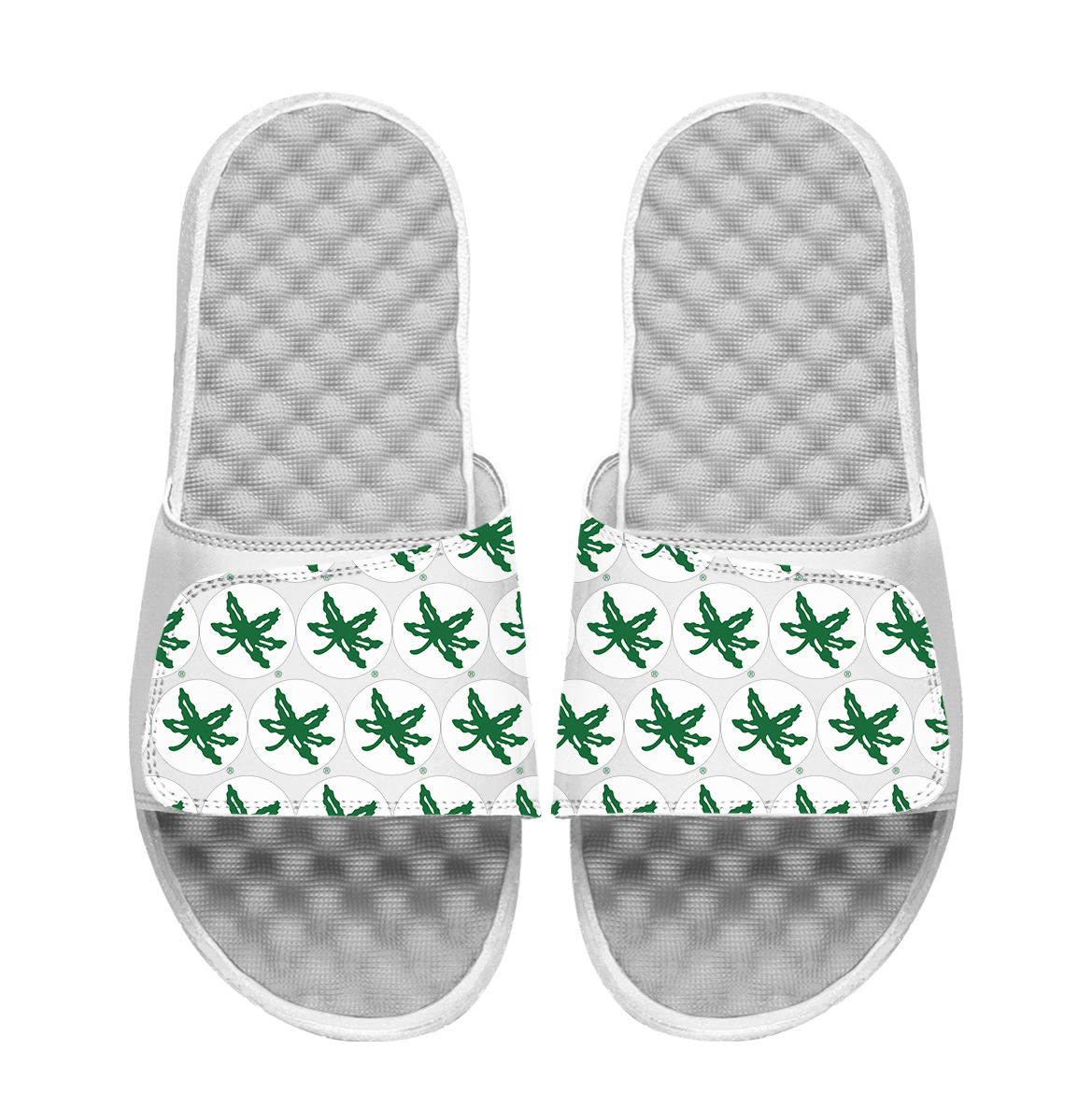 Ohio State Buckeyes Buckeye Leaf