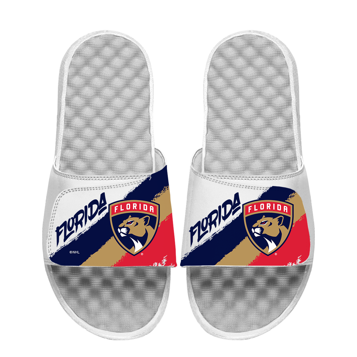 Florida Panthers Paint Stripes