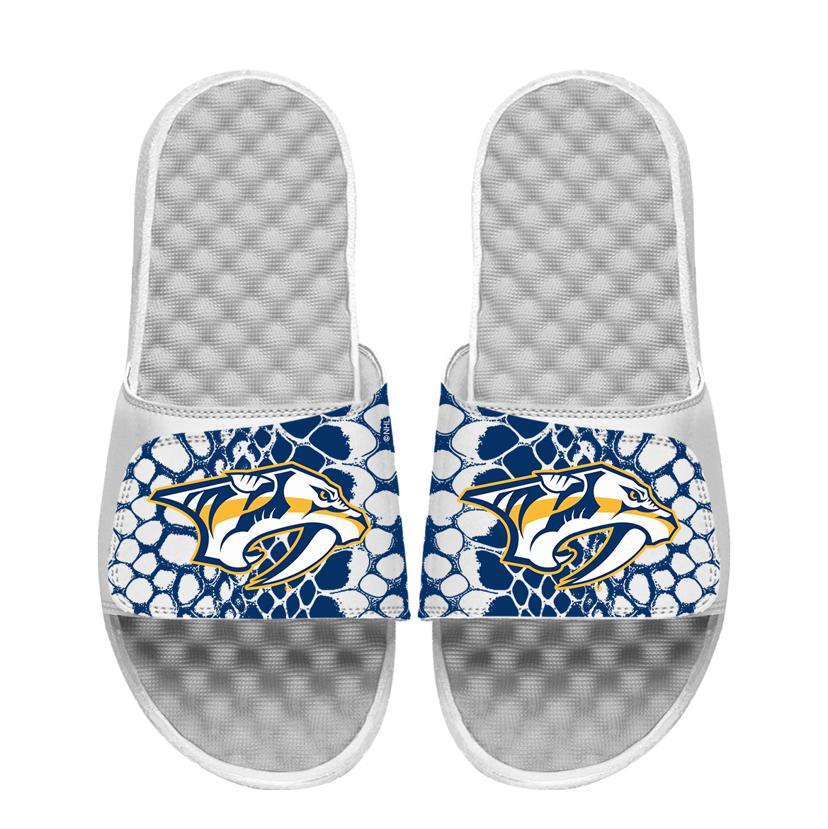 Predators Year of the Snake