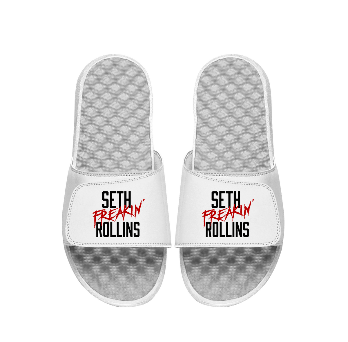 Seth Freakin Rollins Slides