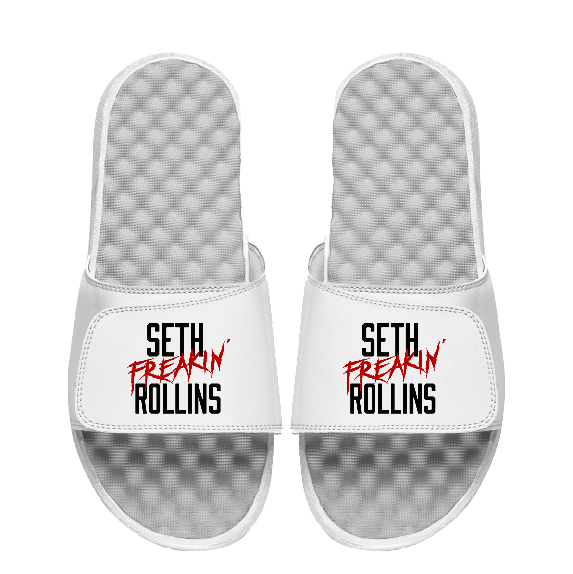Seth Freakin Rollins Slides