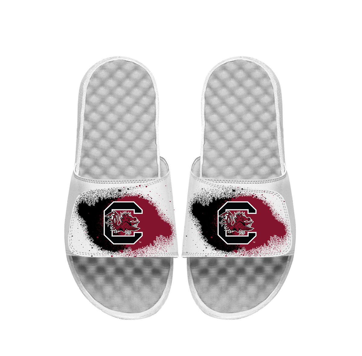 South Carolina Spray Paint Slides