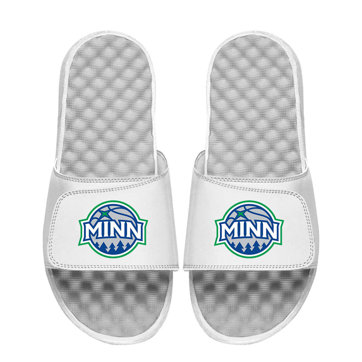 Minnesota Timberwolves Secondary Logo